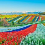 19+ must-see & best places to visit in Hokkaido