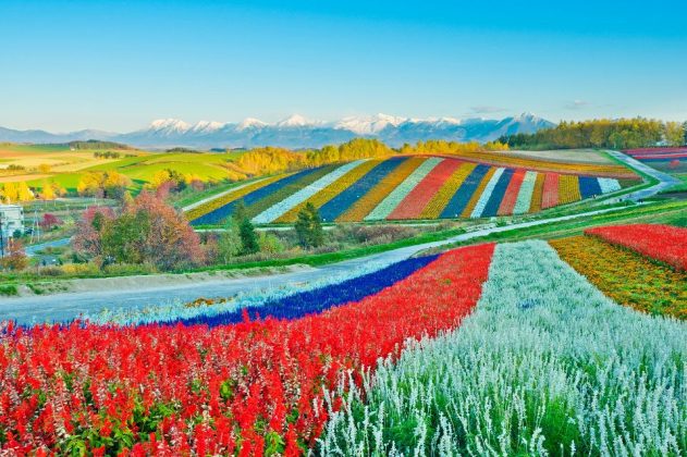 19+ must-see & best places to visit in Hokkaido - Living + Nomads ...