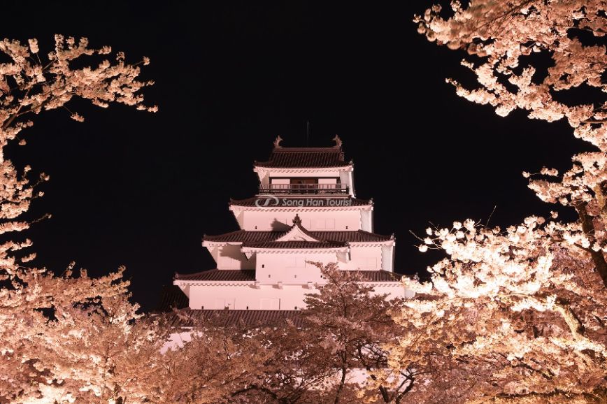 castle-Tsurugajo-mua-hoa-anh-dao