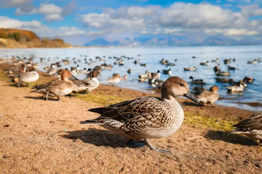 fukushima-10Inawashiro 2