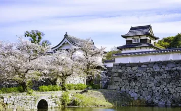 10+ must-see & best places to visit in Fukuoka You Shouldn’t Miss