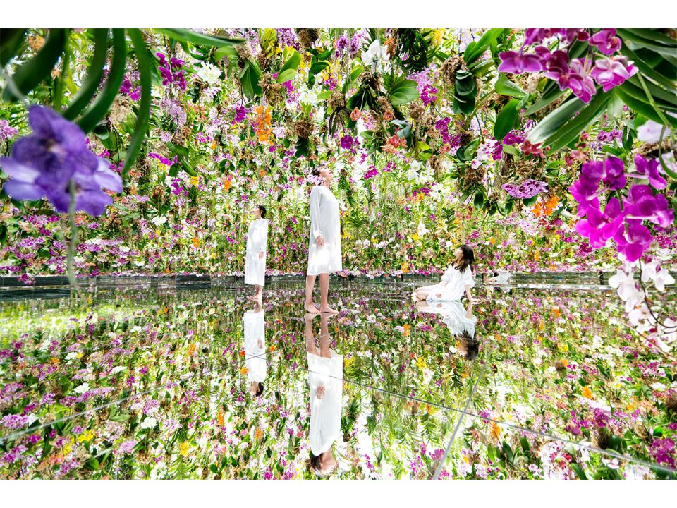 teamlab planets tokyo28