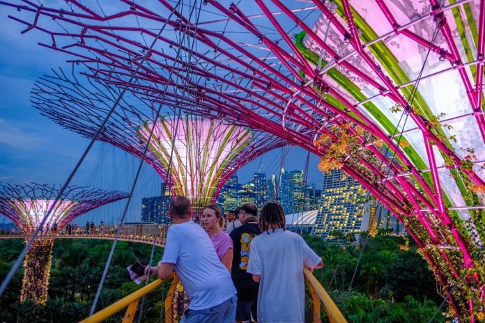 gardens by the bay singapore (1)