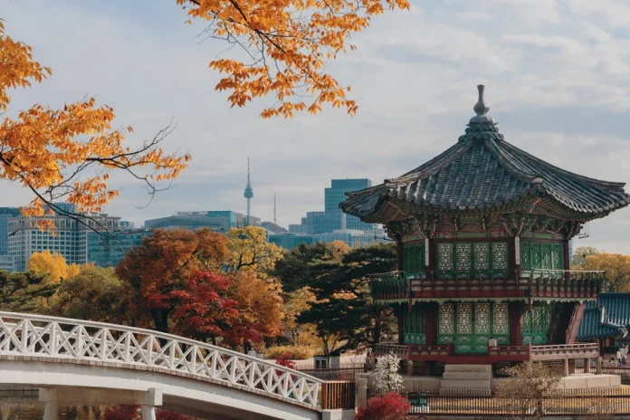 korea autumn fall