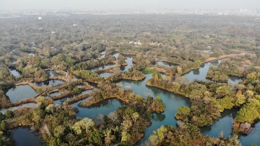 Xixi Wetland hangzhou