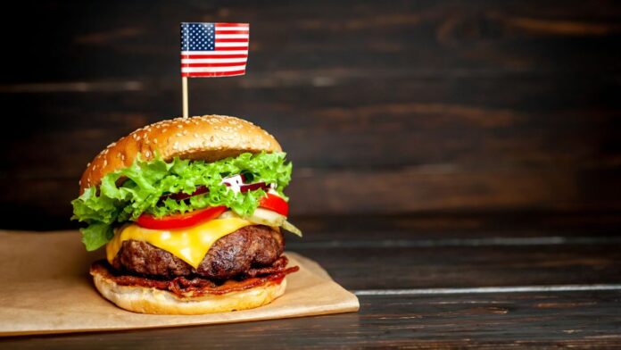 usa american food burger