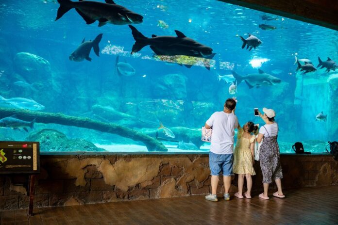 8432river wonders singapore18Ganges River (1)