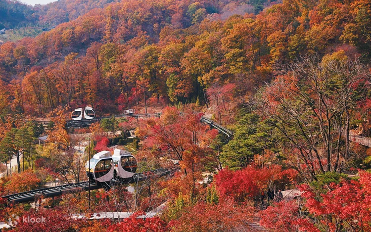 Hwadam Botanical Garden – Gyeonggi-do