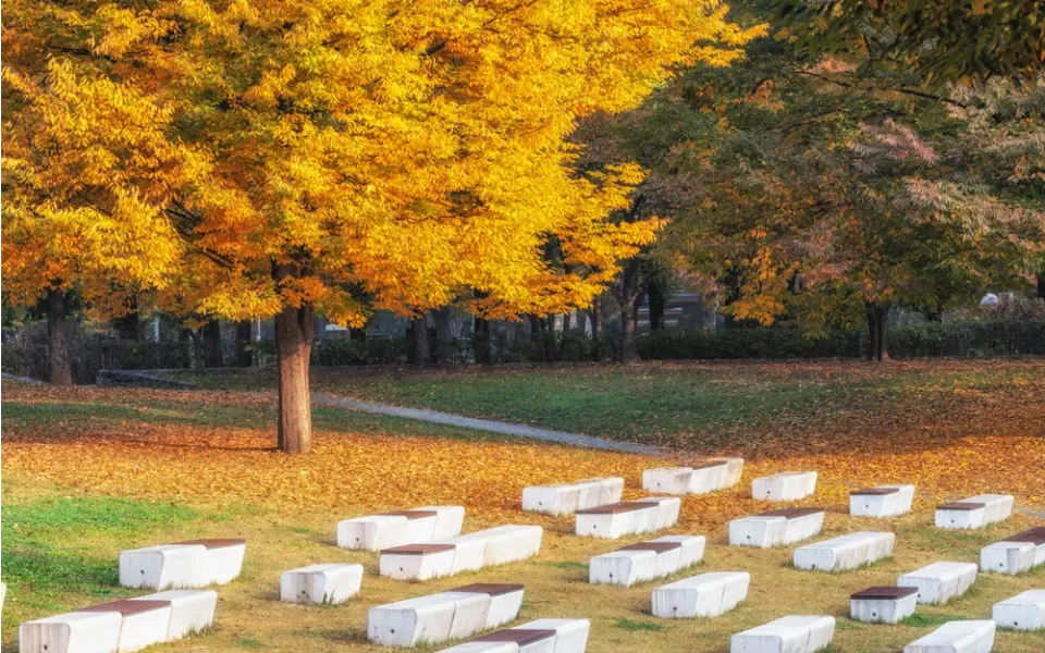 seoul forest park (1)