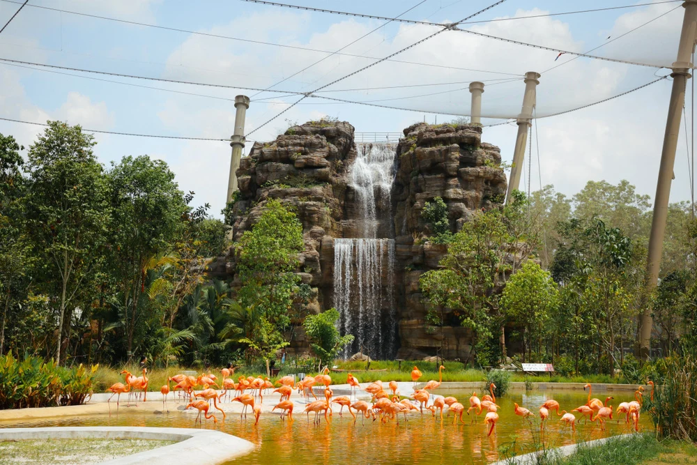 singapore zoo and night safari5