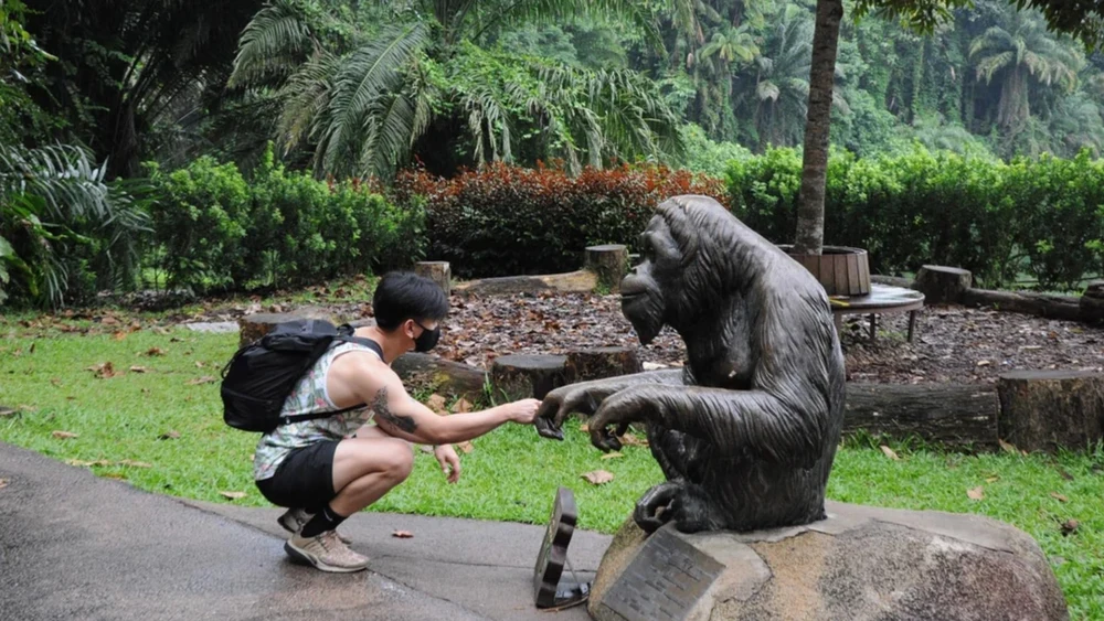 singapore zoo and night safari8