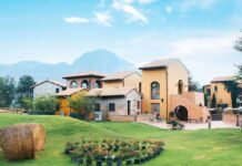 The COMPLETE Khao Yai Travel Guide: Top Attractions, How to Get, What to Eat & MORE