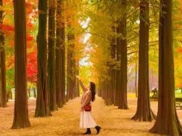 Where to visit in Seoul? 20 Beautiful & best places to visit in Seoul for First-Time Visitors