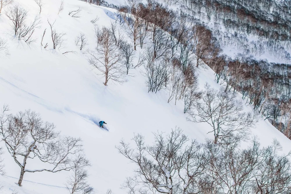 niseko ski resort14