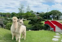 Where to go in Yilan: 13+ Best places to visit in Yilan, Taiwan