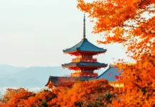 19+ best sightseeing spots & most beautiful places to see in Japan: Mountains – Forests – Seas – Cities