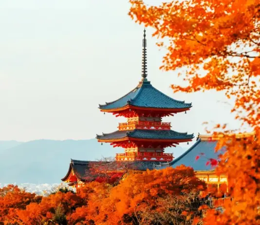 19+ best sightseeing spots & most beautiful places to see in Japan: Mountains – Forests – Seas – Cities