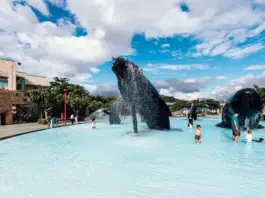 Review of the Ocean World at the National Museum of Marine Biology & Aquarium