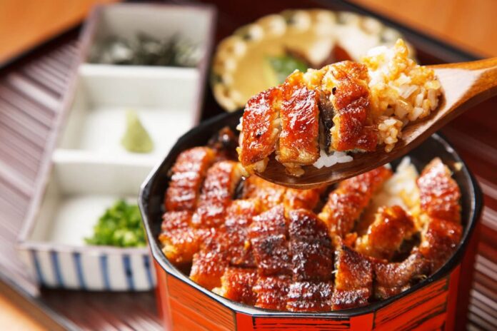 nagoya grilled eel rice