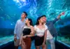The ULTIMATE guide to Manila Ocean Park
