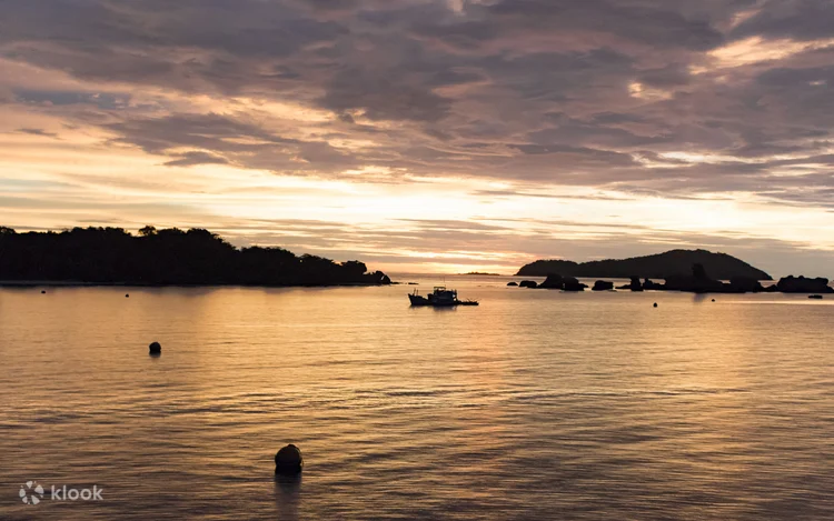 Night squid fishing Phu Quoc: A Unique Experience You Can’t Miss8