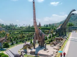 The Detailed Guide of Nong Nooch Tropical Garden in Pattaya, Thailand