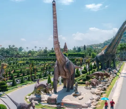 The Detailed Guide of Nong Nooch Tropical Garden in Pattaya, Thailand