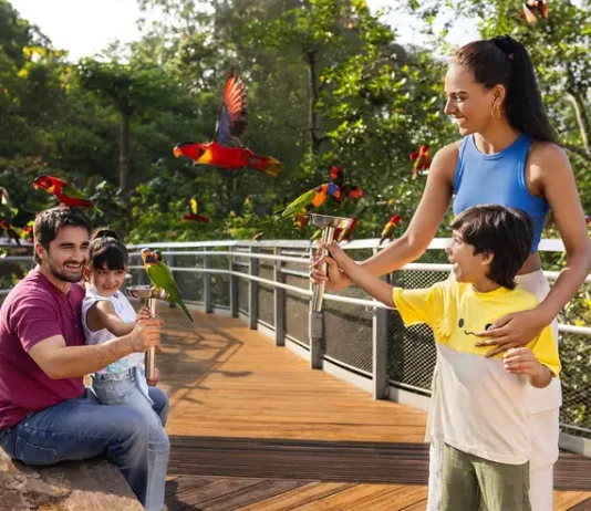 The Bird Paradise Singapore review: How to get, what to do, tips & MORE